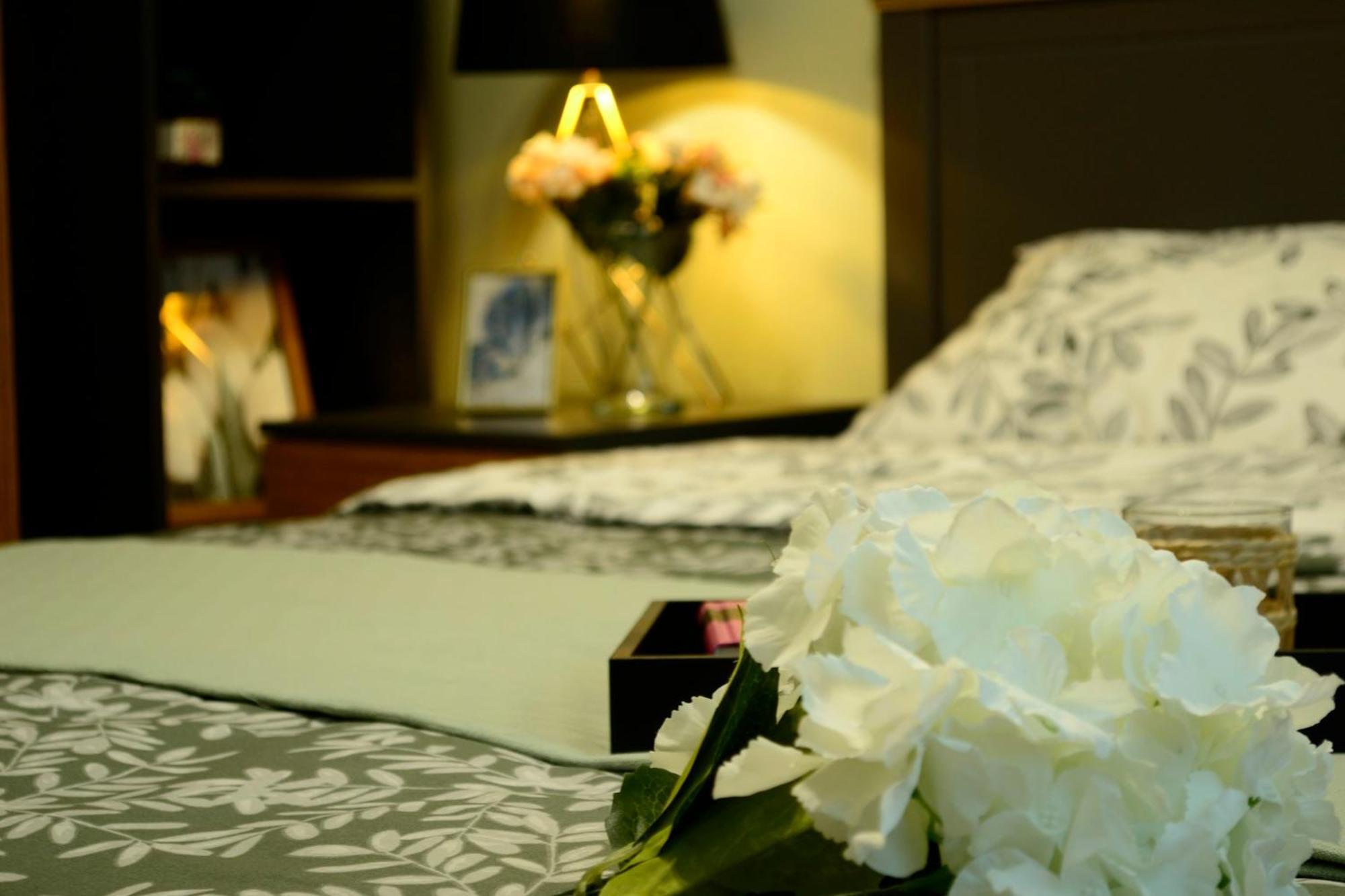 Cozy 2 Rooms Apartment Drumul Taberei 布加勒斯特 外观 照片